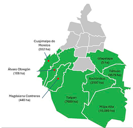 Entre concreto y pasto: Sustentabilidad en una engorda de ovinos en suelo de conservación de la CDMX engorda ovinos suelo conservacion CDMX 2