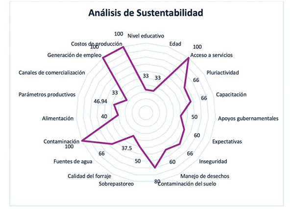 Entre concreto y pasto: Sustentabilidad en una engorda de ovinos en suelo de conservación de la CDMX engorda ovinos suelo conservacion CDMX 4