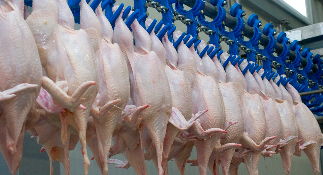 Ganaderia impacto produccion carne pollo