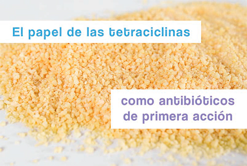 El papel de las tetraciclinas como antibióticos de primera acción papel tetraciclinas antibioticos primera accion1