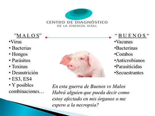 Diagnóstico Cuántico en Poblaciones Animales Ax3vT16T Diagnostico Cuantico Poblaciones Animales