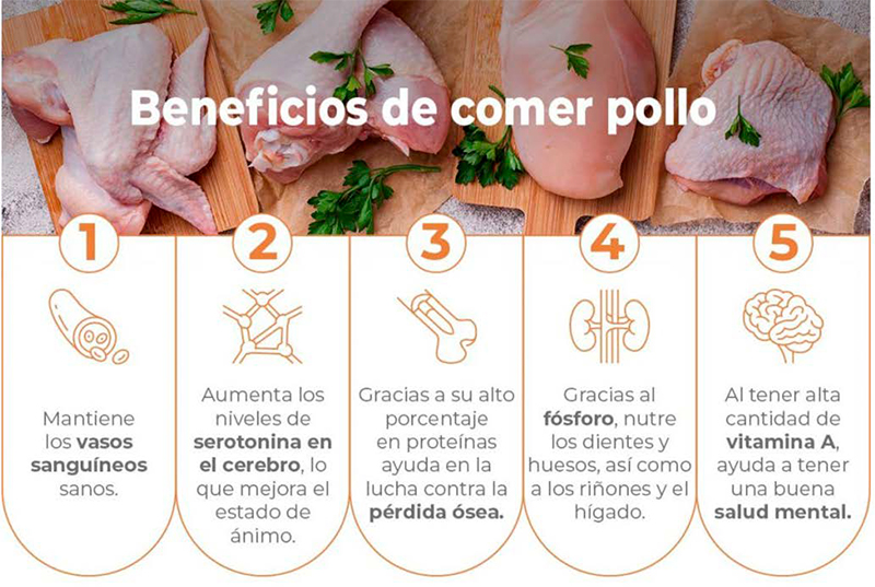 Beneficios del consumo de carne de pollo Beneficios consumo carne pollo 1