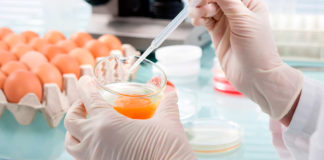 Contaminación bacteriana en huevos