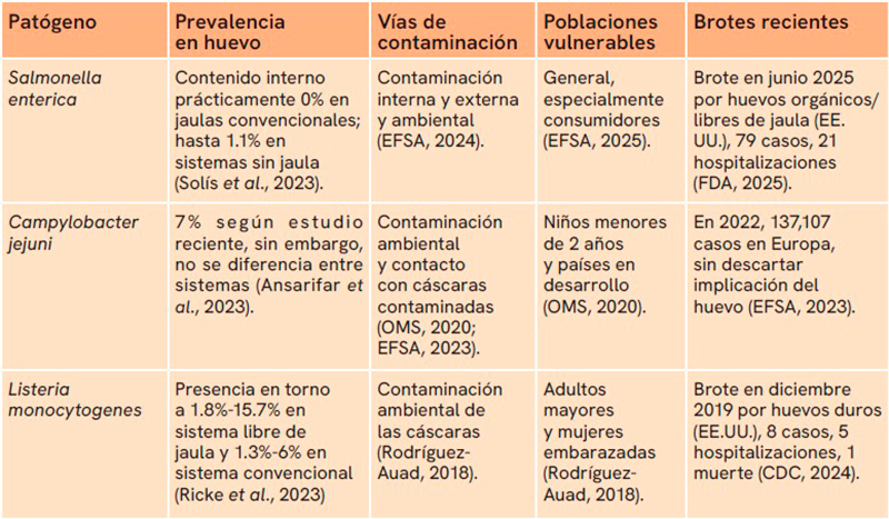 Contaminación bacteriana en huevos Contaminacion bacteriana huevos1