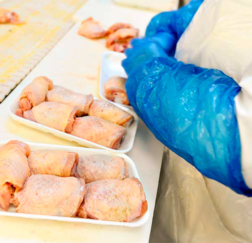Desafíos de la industria avícola del pollo Desafio industria avicola pollo2