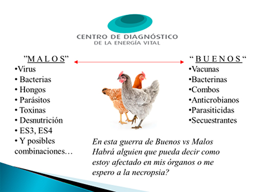 Diagnóstico Cuántico en Poblaciones Animales Diagnostico Cuantico Poblaciones Animales2