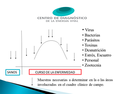 Diagnóstico Cuántico en Poblaciones Animales Diagnostico Cuantico Poblaciones Animales3