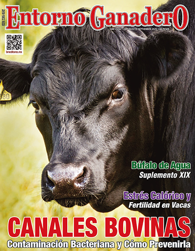 Revistas EG 4 AGO SEP 25 1
