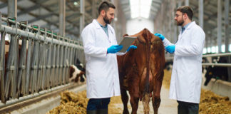 Epidemiología, Dispersión, Tratamiento y Control del Gusano Barrenador del Ganado
