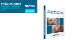 Estrategias de nutrición y producción para las cerdas de hoy”, próximamente libro de NOVUS