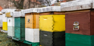 Instalación y manejo de apiarios