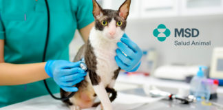 Los Médicos Veterinarios de México celebran su día el 17 de agosto