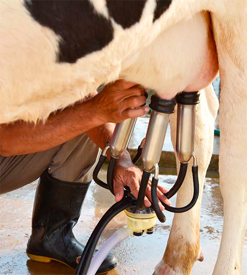 Oferta y demanda de leche en México y las remesas Oferta demanda leche Mexico remesas 1