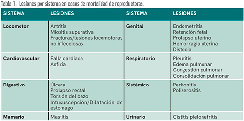 ¿Por qué no producimos suficiente? Por que no producimos suficiente5