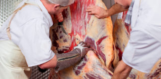 Pide R-CALF USA frenar importaciones de carne que hace EU de Brasil