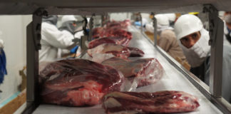 Reconoce la CFIA el sistema TIF como su equivalente en cárnicos