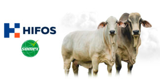 SOMEX + HIFOS: Una alianza que nutre el futuro