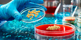 Sanfer salud animal y su compromiso por mitigar el efecto negativo de las micotoxinas