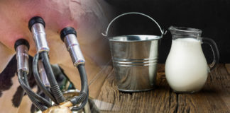 La cadena de leche se prepara para satisfacer demanda del consumidor