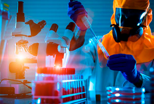 La evolución de la industria avícola evolucion industria avicola 1