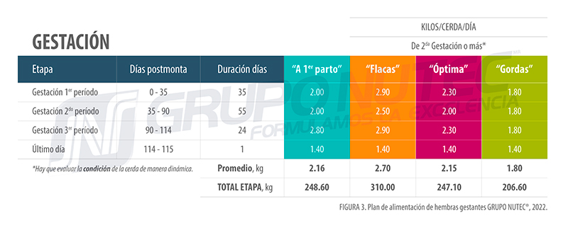 Alojamiento en gestación y el bienestar animal gestacion
