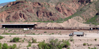 R-CALF USA apoya la permanencia del cierre de la frontera con México por el NWS