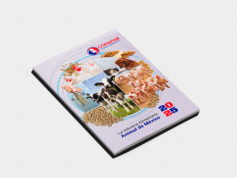 La producción nacional de alimento balanceado para animales aumentó 7.7% en 5 años produccion nacional alimento balanceado animales aumento 5 anos 1