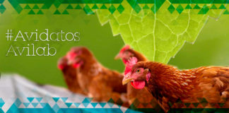 Aceites esenciales y extractos naturales