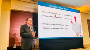Aviagen consolida Lazos con sector avícola de Panamá Celebran 22 Foro Global Agroalimentario 2025 CNA4