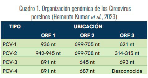 Circovirus porcino: Panorama Epidemiológico Circovirus porcino Panorama Epidemiologico2