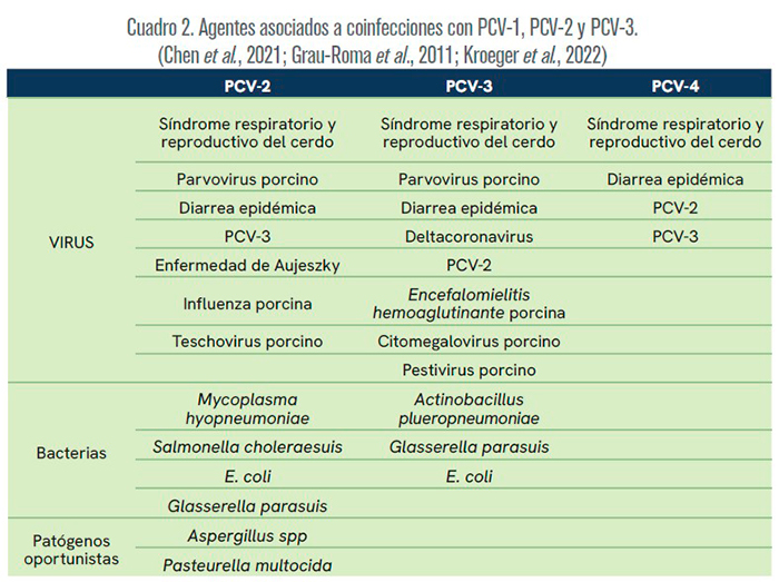 Circovirus porcino: Panorama Epidemiológico Circovirus porcino Panorama Epidemiologico3