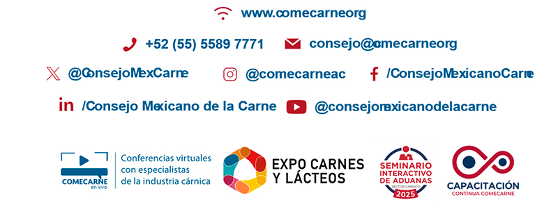 Estudio del Mercado Consumidor de Proteína Cárnica en México 2025 del COMECARNE Estudio Mercado Consumidor Proteina Carnica Mexico 2025 COMECARNE 6