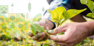 Importancia de un sistema agroalimentario para la frontera México-Estados Unidos