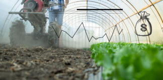 Incertidumbre regulatoria y política limita confianza empresarial en México