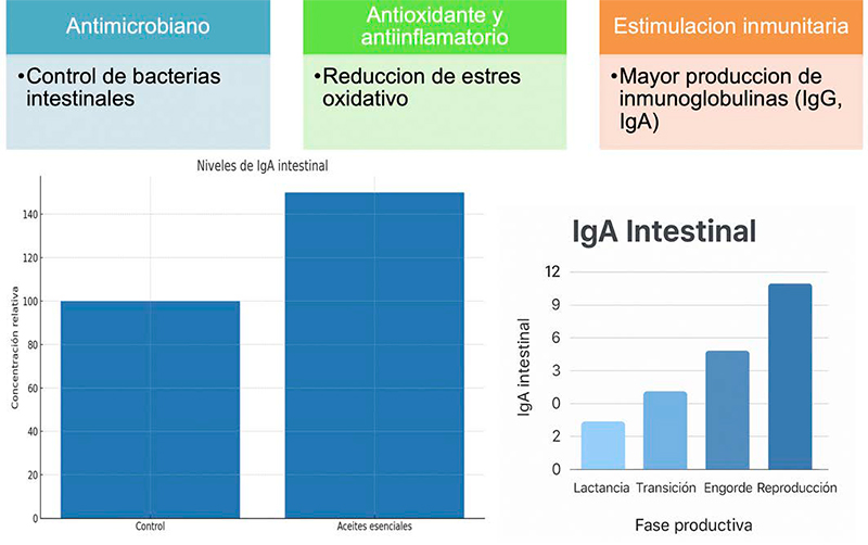 Modulación inmunológica en cerdos Modulacion inmunologica cerdos 2