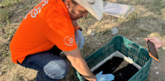 Dispersan en NL un millón 600 mil moscas estériles por GBG