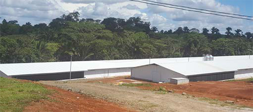 Preparación de instalaciones avícolas previo a la recepción de nuevos lotes Preparacion instalaciones avicolas previo recepcion nuevos lotes9