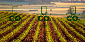 Trabaja Rabobank con agricultores en baja emisión de CO2