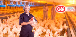 Cobb nombra al Dr. Alex Corzo como director general de Nutrición Global