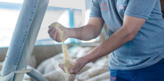 Cómo afecta la conversión alimenticia a la rentabilidad