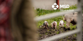 Día de los Animales de Granja