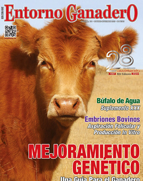 Revistas EG 5 OCT NOV 25 1