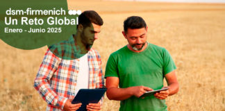 Encuesta Mundial de Micotoxinas: Un Reto Global