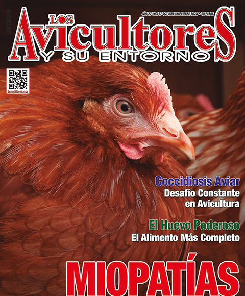 Revistas LA 5 OCT NOV 25 1