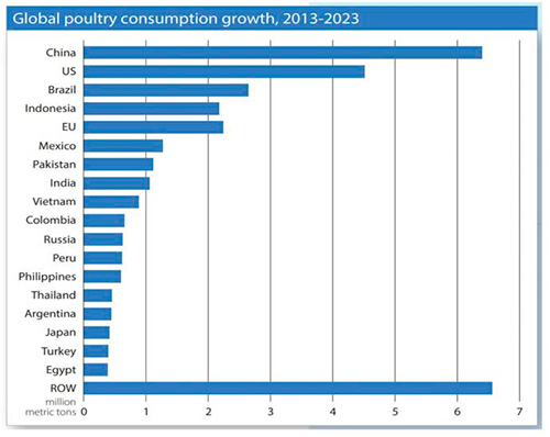 Mapa 2025 de la avicultura de carne Mapa 2025 avicultura carne4