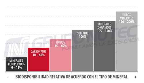 Metabolismo de los minerales en los bovinos biodisponibilidad