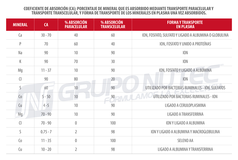 Metabolismo de los minerales en los bovinos coeficiente absorcion