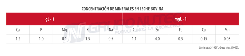 Metabolismo de los minerales en los bovinos concentracion minerales