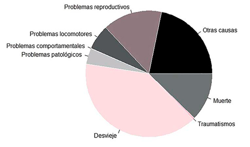 El estrés térmico reduce productividad, fertilidad y desarrollo porcino. estres termico reduce productividad fertilidad desarrollo porcino2