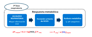 Estrategias naturales para reducir el efecto de estrés por calor en cerdos g10